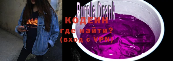 спайс Няндома