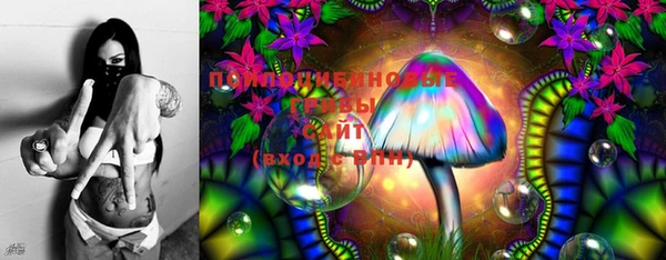 spice Новозыбков