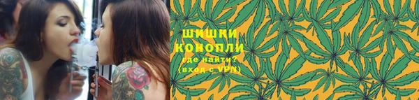 спайс Няндома