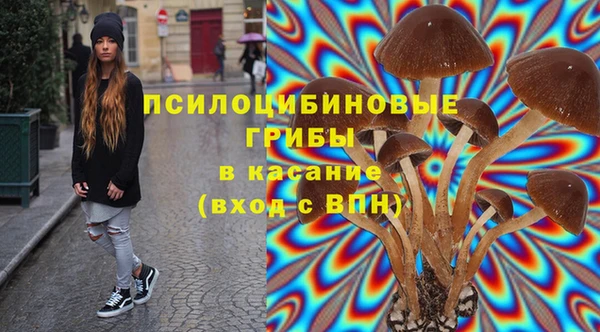 спайс Няндома