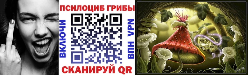 цены наркотик  Куровское  Псилоцибиновые грибы ЛСД 