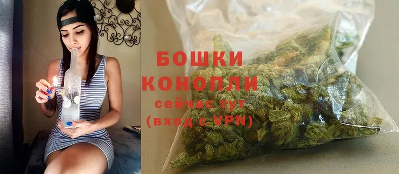 Бошки Шишки THC 21%  купить наркотик  Куровское 